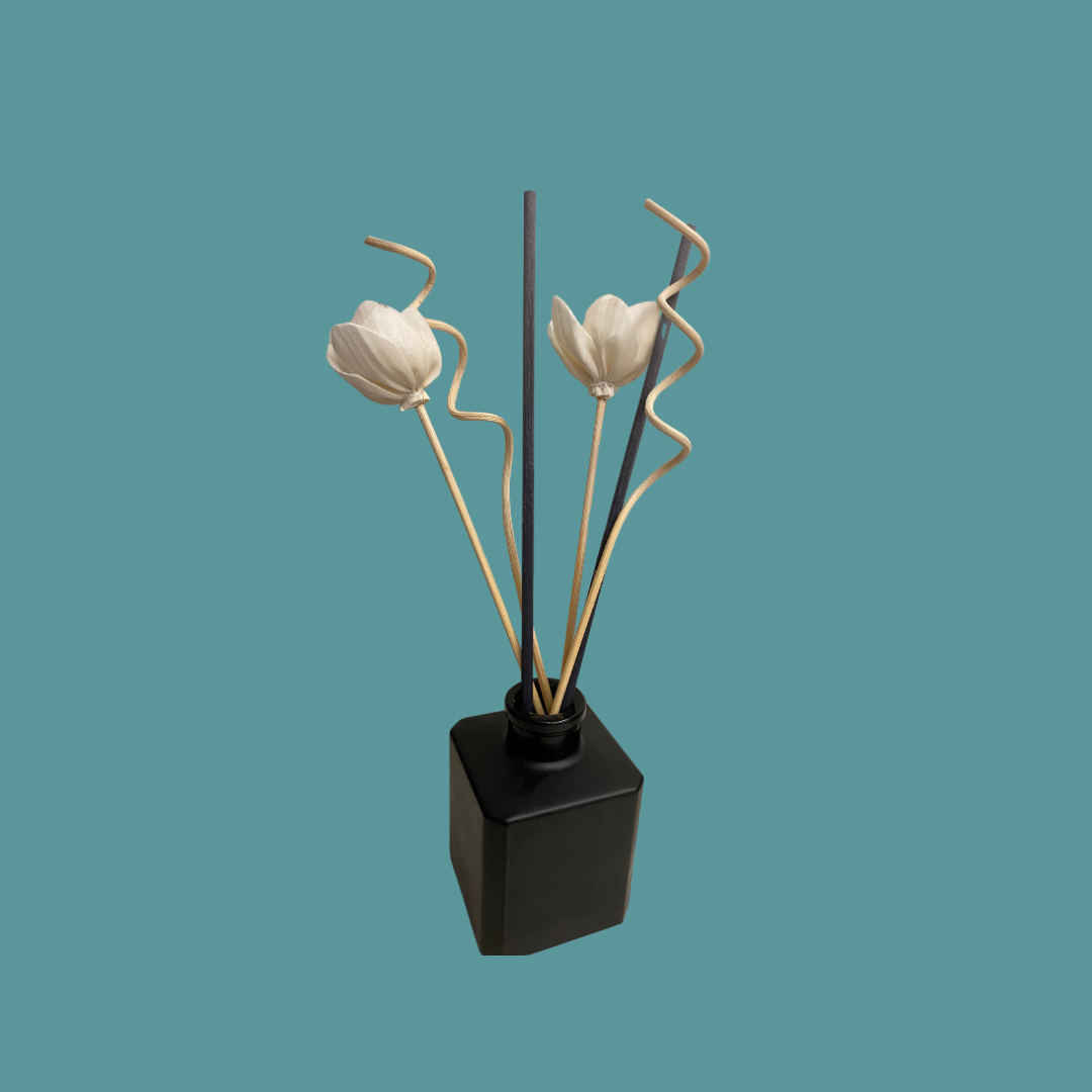 A sleek reed diffuser and a black vase filled with white flowers displayed against a vibrant blue background, offering a bold and modern aesthetic.