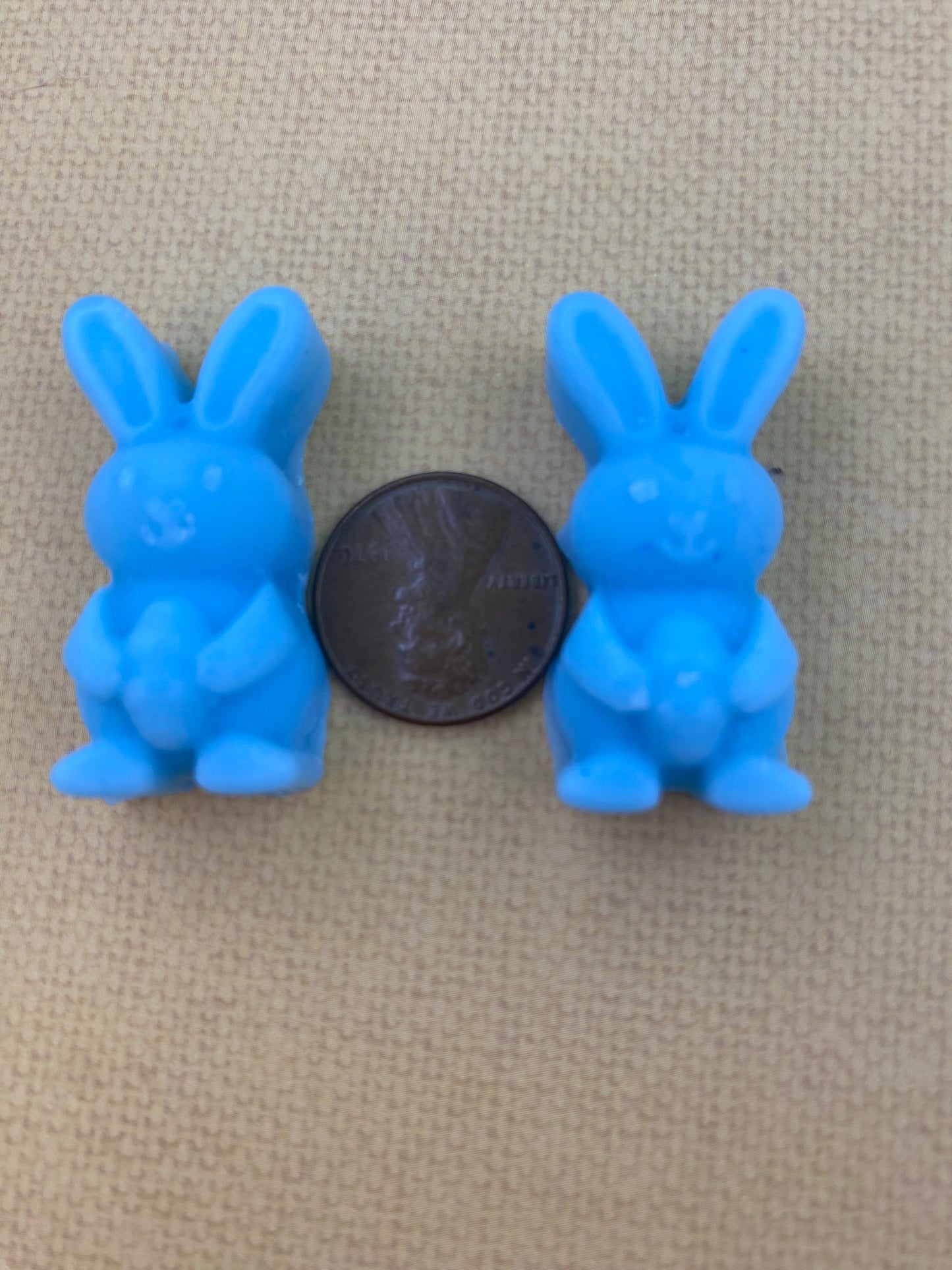Two ocean-colored bunny-shaped soy wax melts with a coin in between, showcasing a playful and vibrant design.